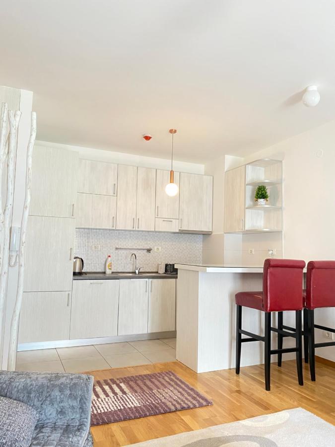 Apartman Vesna City 2. Pg 波德戈里察 外观 照片